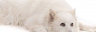 34590jplqn8s8bs-crop