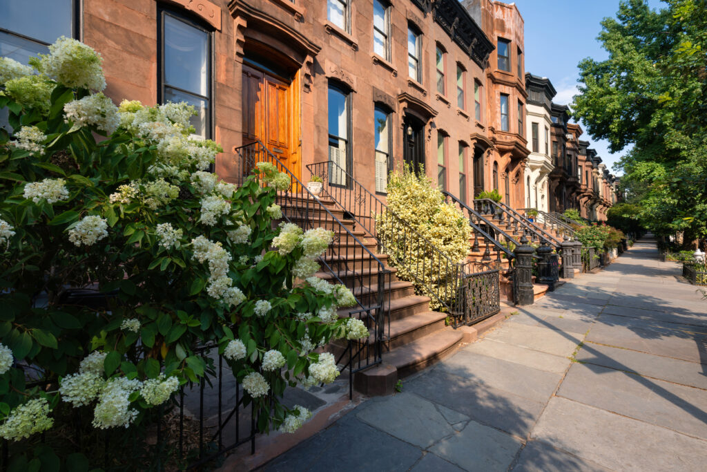 brooklyn new york neighborhood