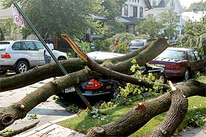 Damage from an August 2007 storm included this car in Brooklyn.